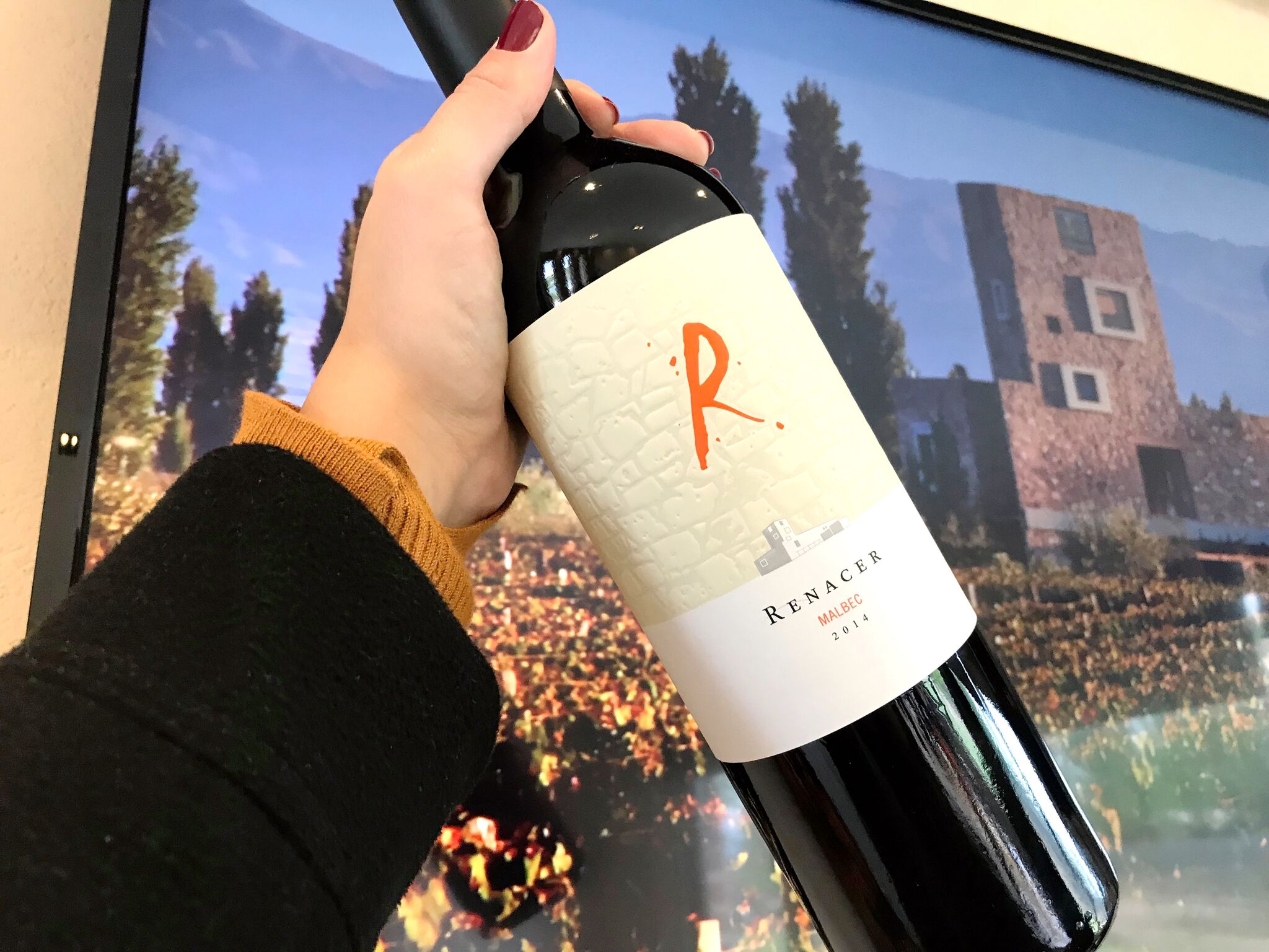 Renacer Malbec: um vinho de personalidade para um brinde mais