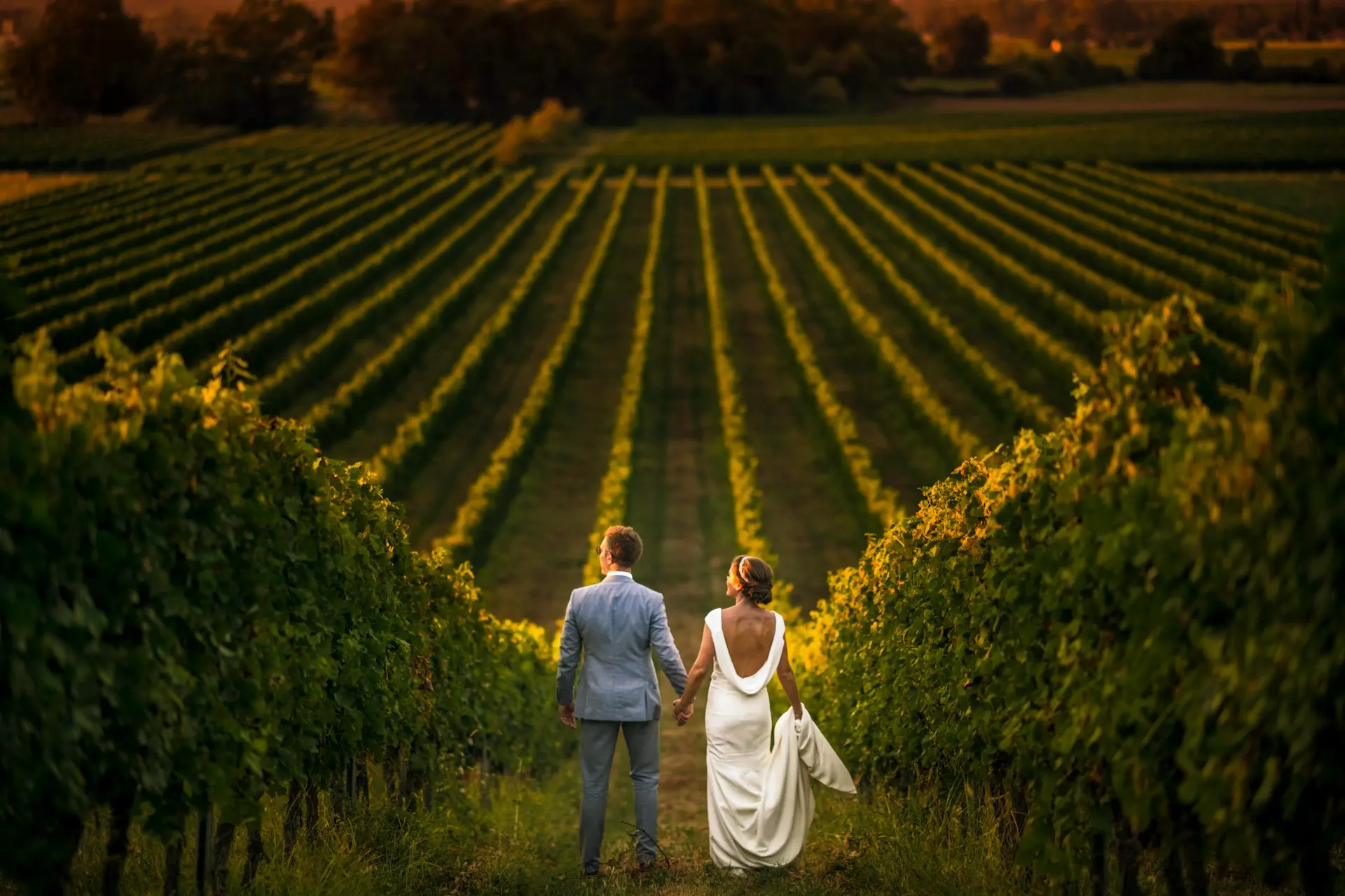 casamento-vinicola Casal de noivos caminhando de mãos dadas entre parreirais de uma vinícola ao pôr do sol, com vestido de noiva branco e terno azul.